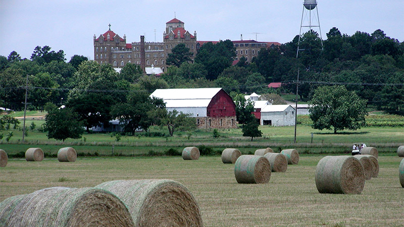 Image of field with hay bales and abbey in background